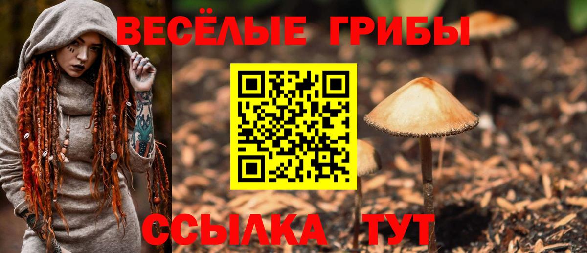 купить  сайты  Галлюциногенные грибы мицелий  Мыски  Вход с VPN  Псилоцибиновые грибы прущие грибы 